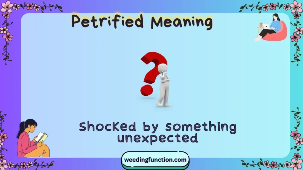 Petrified Meaning